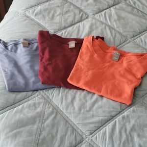 Ann Taylor T-Shirts